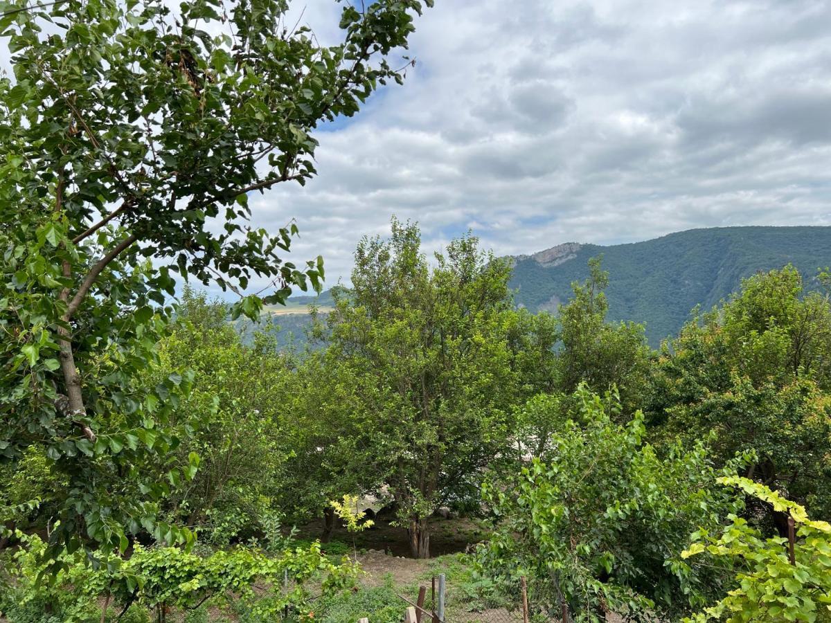 Arman Bed And Breakfast Halidzor Buitenkant foto